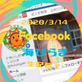 海びらき2020～FMいしがきサンサンラジオFacebookより生配信～