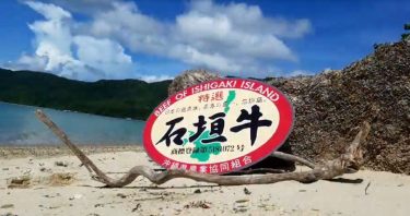 JA石垣牛