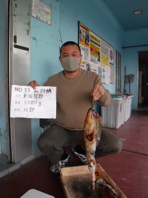 東田 哲郎さん アオリイカ 1080g 北部 釣り 石垣アイランドtv 東田 哲郎さん アオリイカ 1080g 北部 釣り 石垣アイランドtv