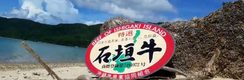 JA石垣牛肥育部会　JAおきなわ八重山地区畜産振興センター