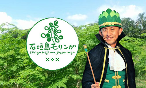 石垣島モリンガ王国