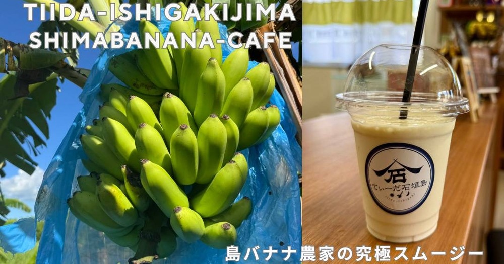てぃーだ石垣島