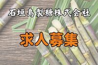 【求人募集】石垣島製糖株式会社