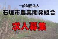 【求人募集】石垣市農業開発組合
