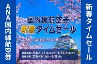 ANA国内航空券 新春タイムセール！
